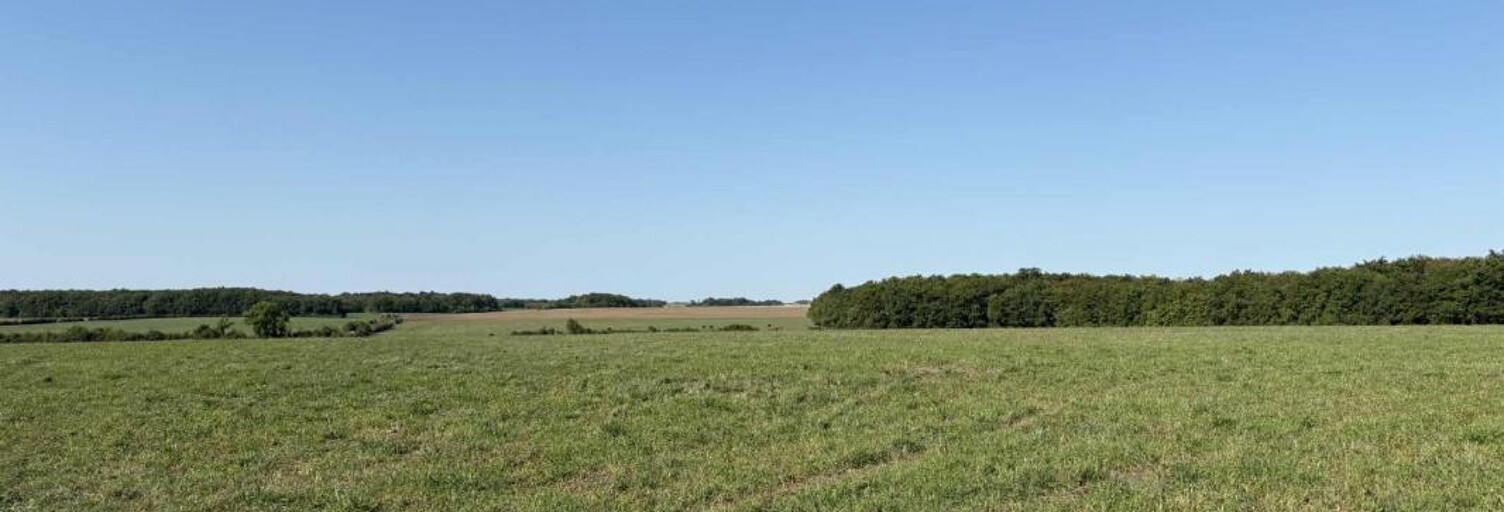 Terrain  1400000 m² à vendre à Neuillay-les-Bois (36500)