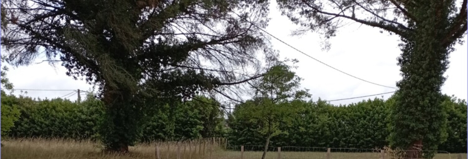 Terrain  1029 m² à vendre à Langon (33210)