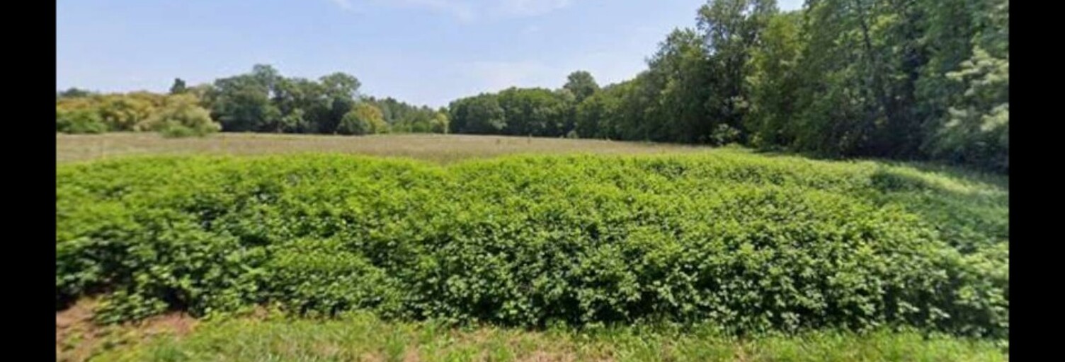 Terrain  500 m² à vendre à Saint-Christoly-de-Blaye (33920)