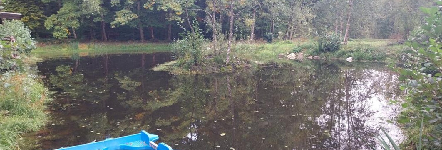 Commerce  46300 m² à vendre à Belmont (70270)