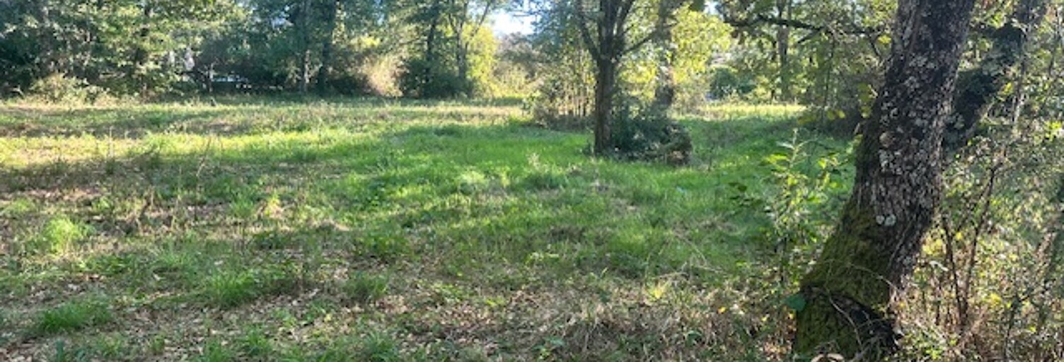 Maison 100 m² à construire Pin-Balma (31130)