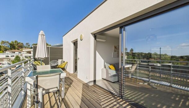 Appartement 2 pièces  à vendre Pietrosella 20166