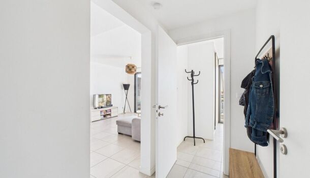 Appartement 2 pièces  à vendre Pietrosella 20166