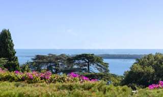 Appartement 3 Pièces 89 m² à vendre à Cannes (06400)