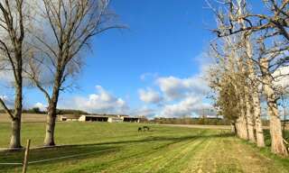 Maison 5 Pièces 160 m² à vendre à Laperche (47800)