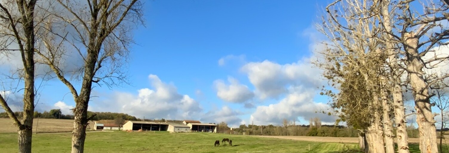 Maison 5 Pièces 160 m² à vendre à Laperche (47800)