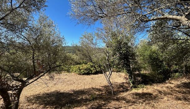 Villa / Maison 4 pièces  à vendre Camps-la-Source 83170