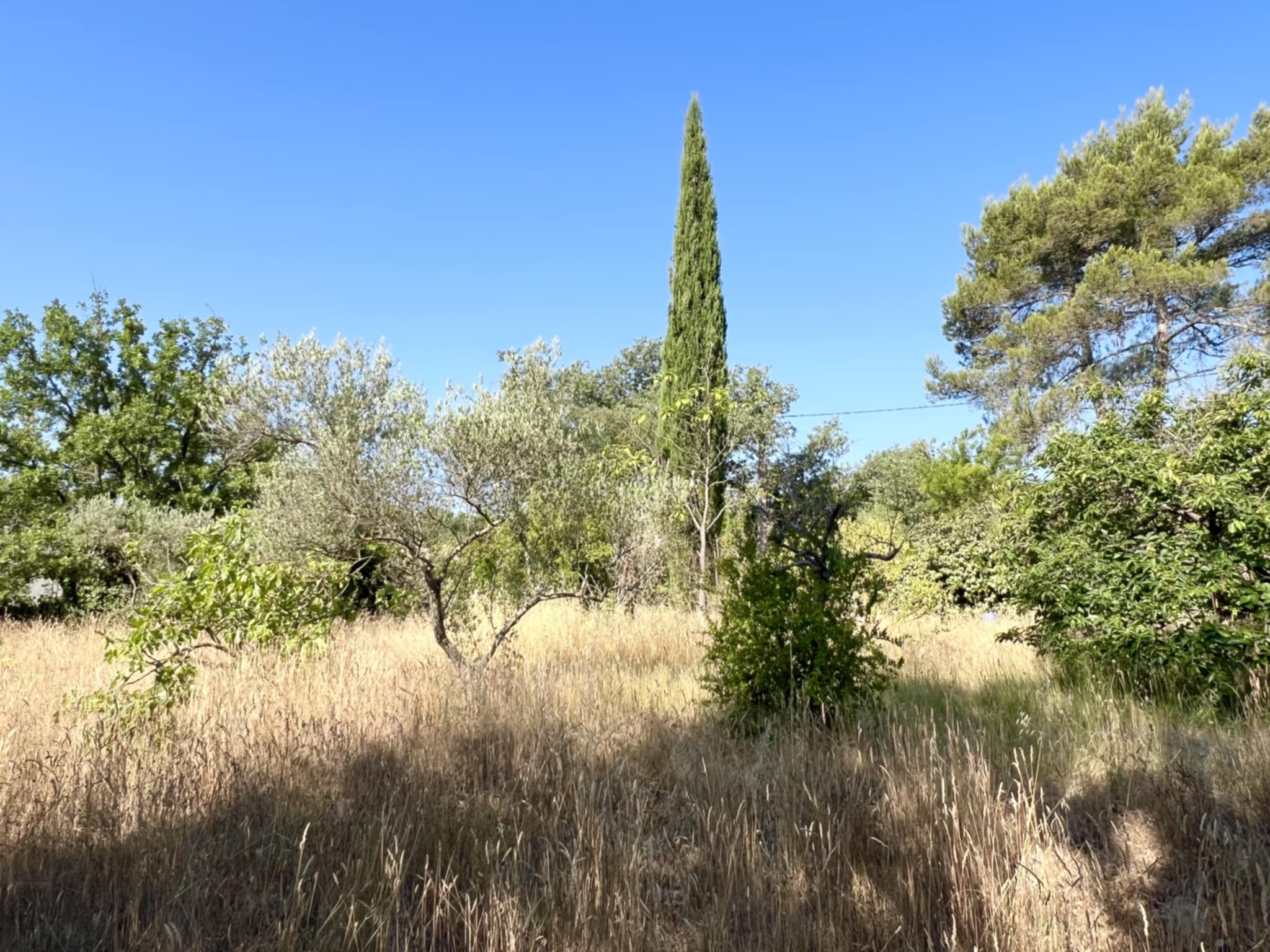 Terrain  à vendre Garéoult 83136