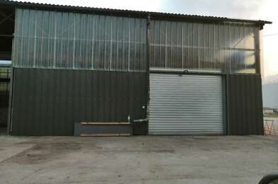 Local industriel 1 pièces 3500 €