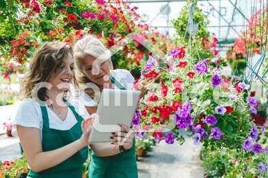 Commerce 2 pièces 85000 €