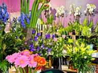 A A vendre COLOMBES (92) - Fonds de commerce de fleurs (emplacement n°1) - 50 m2 - 92 000 € honoraires d’agence inclus — photo 2