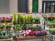A A vendre COLOMBES (92) - Fonds de commerce de fleurs (emplacement n°1) - 50 m2 - 92 000 € honoraires d’agence inclus — photo 4
