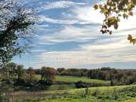Ensemble en pierres à rénover – Périgord Noir — photo 2