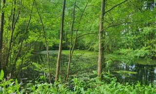 Commerce  4985 m² à vendre à Glénay (79330)