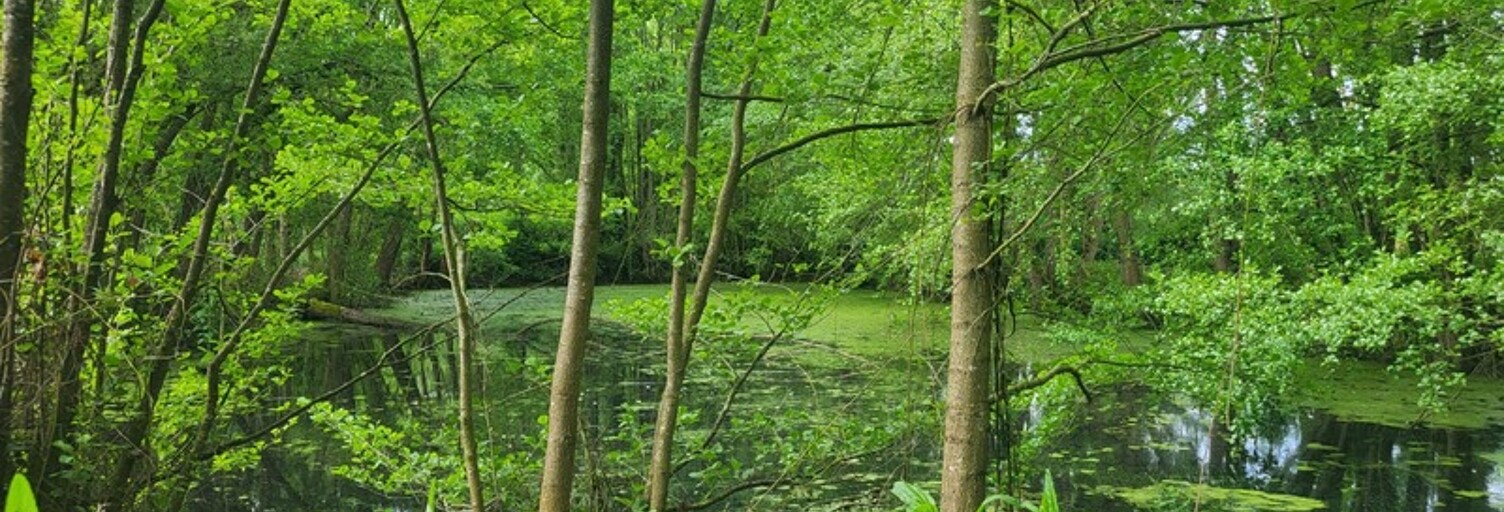 Commerce  4985 m² à vendre à Glénay (79330)