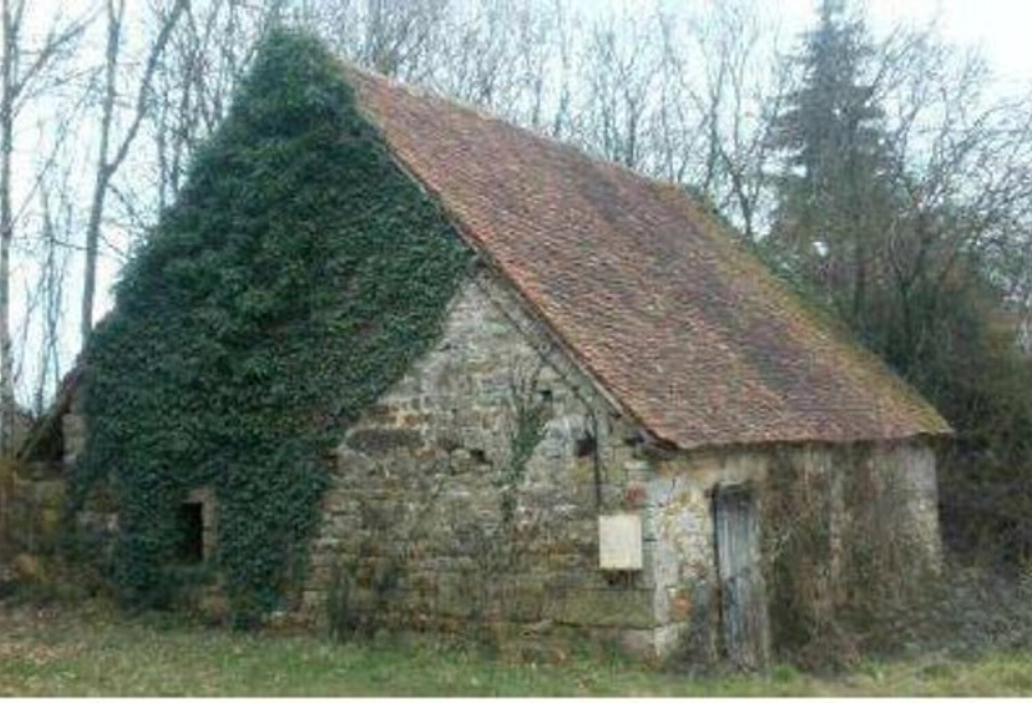 Dpt Orne (61), à vendre GRANGE de 90 m2 à rénover sur terrain de 1539 m2 — photo 1
