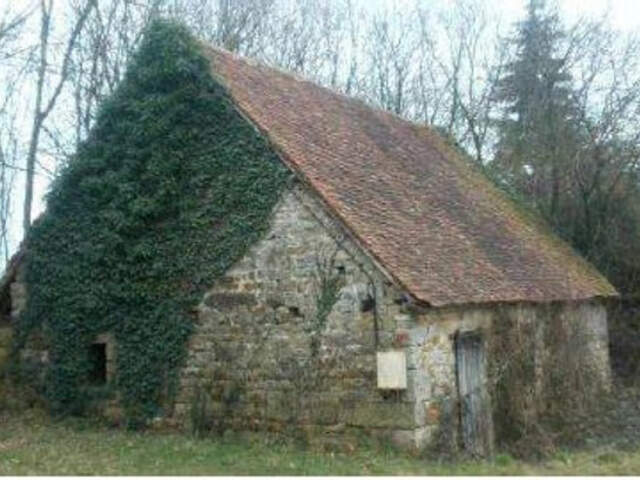 Dpt Orne (61), à vendre GRANGE de 90 m2 à rénover sur terrain de 1539 m2 — photo du bien