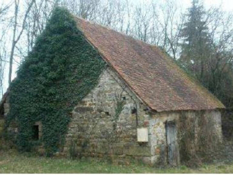 Dpt Orne (61), à vendre GRANGE de 90 m2 à rénover sur terrain de 1539 m2 — photo 1