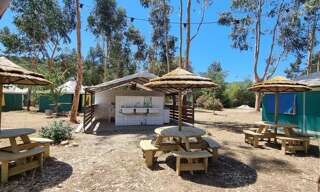 Maison  42200 m² à vendre à Casalabriva (20140)