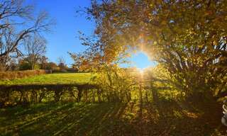 Maison 4 Pièces 136 m² à vendre à Saint-Émiland (71490)