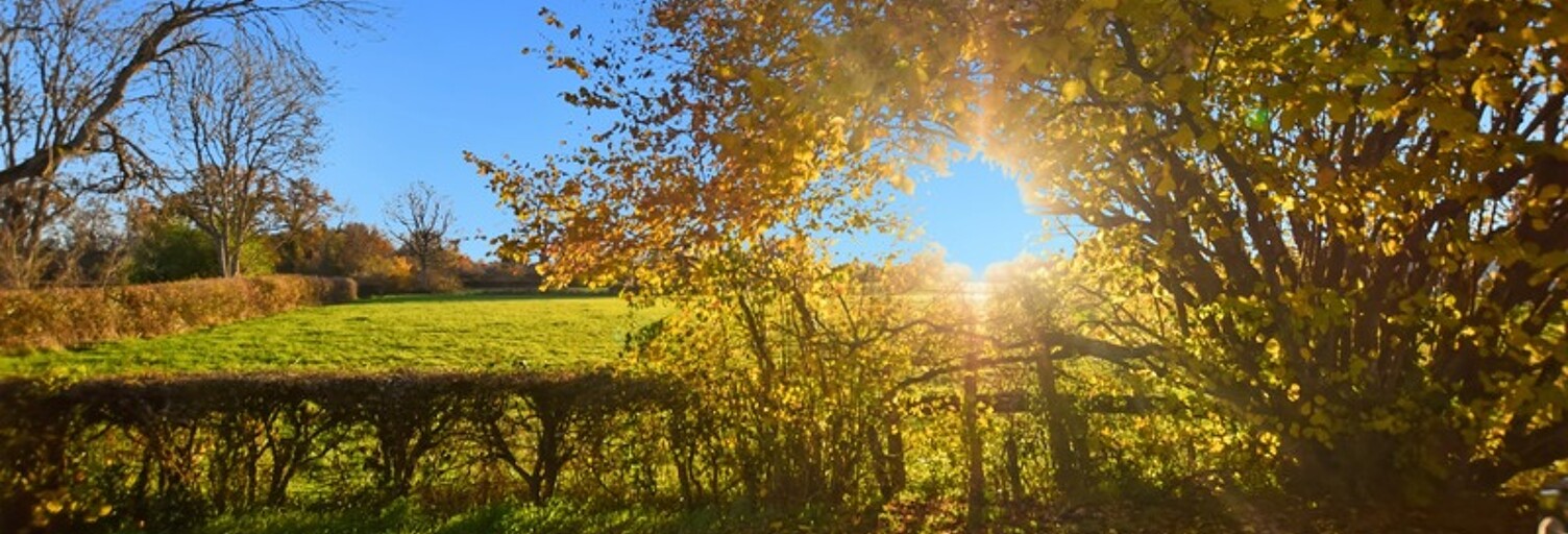 Maison 4 Pièces 136 m² à vendre à Saint-Émiland (71490)