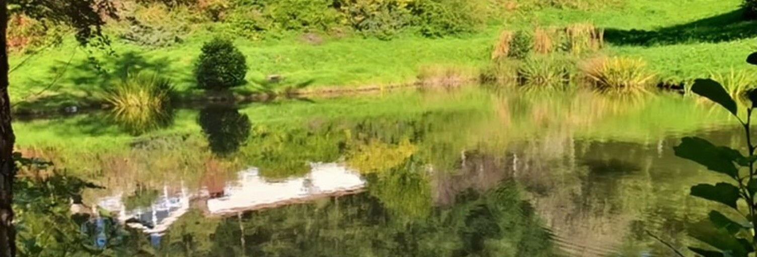 Maison 20 Pièces 450 m² à vendre à Remiremont (88200)