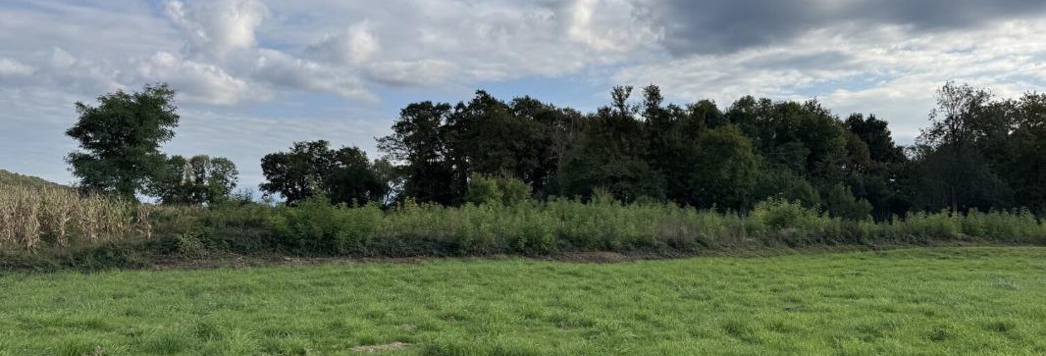 Terrain  1454 m² à vendre à Soumoulou (64420)