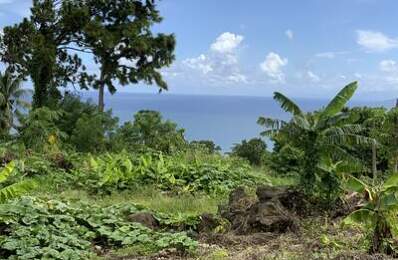 Terrain vue mer — photo du bien