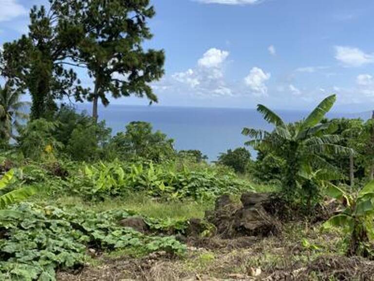 Terrain vue mer — photo 1