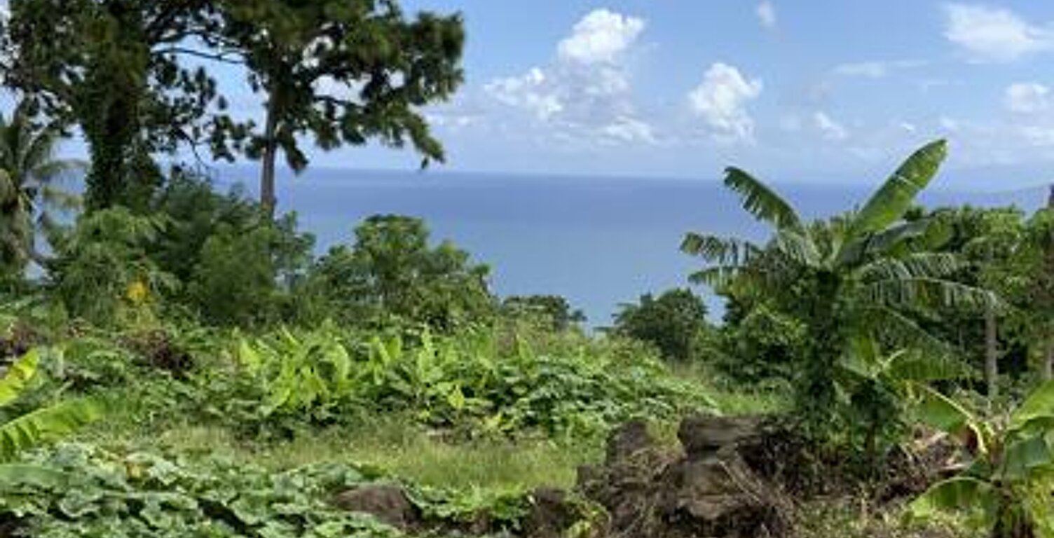 Terrain vue mer — photo 1