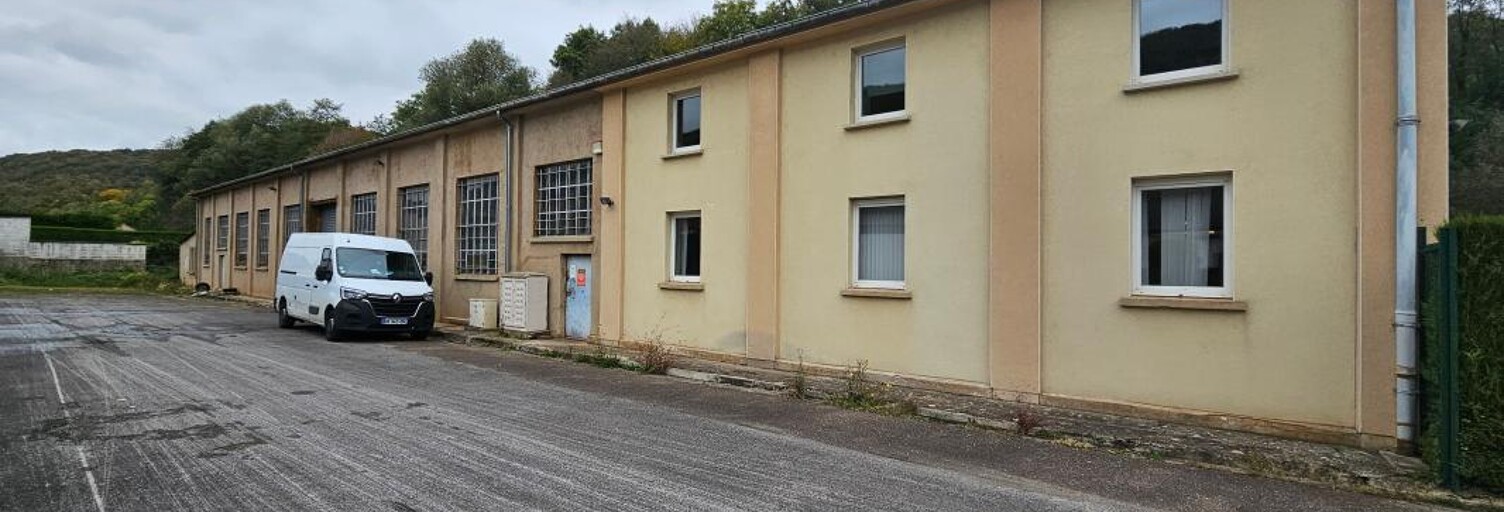Immeuble  800 m² à vendre à Knutange (57240)