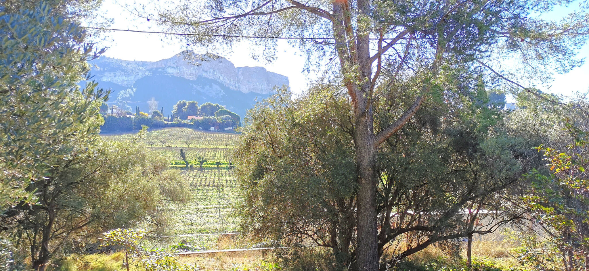 Terrain  à vendre Cassis 13260