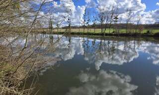 Terrain  4710 m² à vendre à Fontgombault (36220)