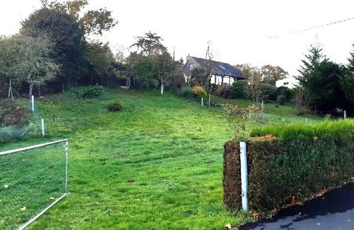 Terrain — photo 2