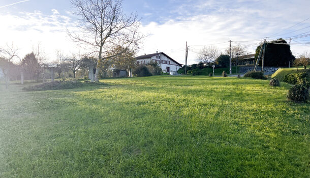 Terrain  à vendre Souraïde 64250