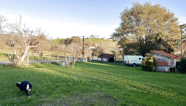 Terrain  à vendre Souraïde 64250