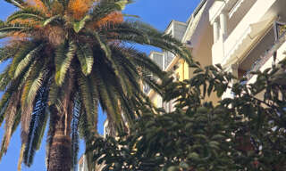 Appartement 1 Pièce 25 m² à vendre à Nice (06000)