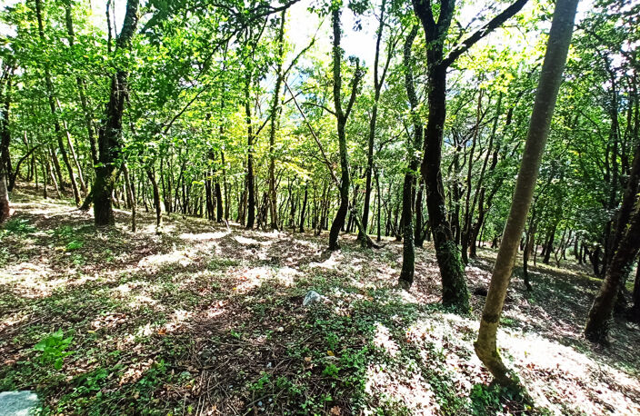 Dpt Haute Garonne 31- A vendre Labroquere 31510- Terrain con — photo 3