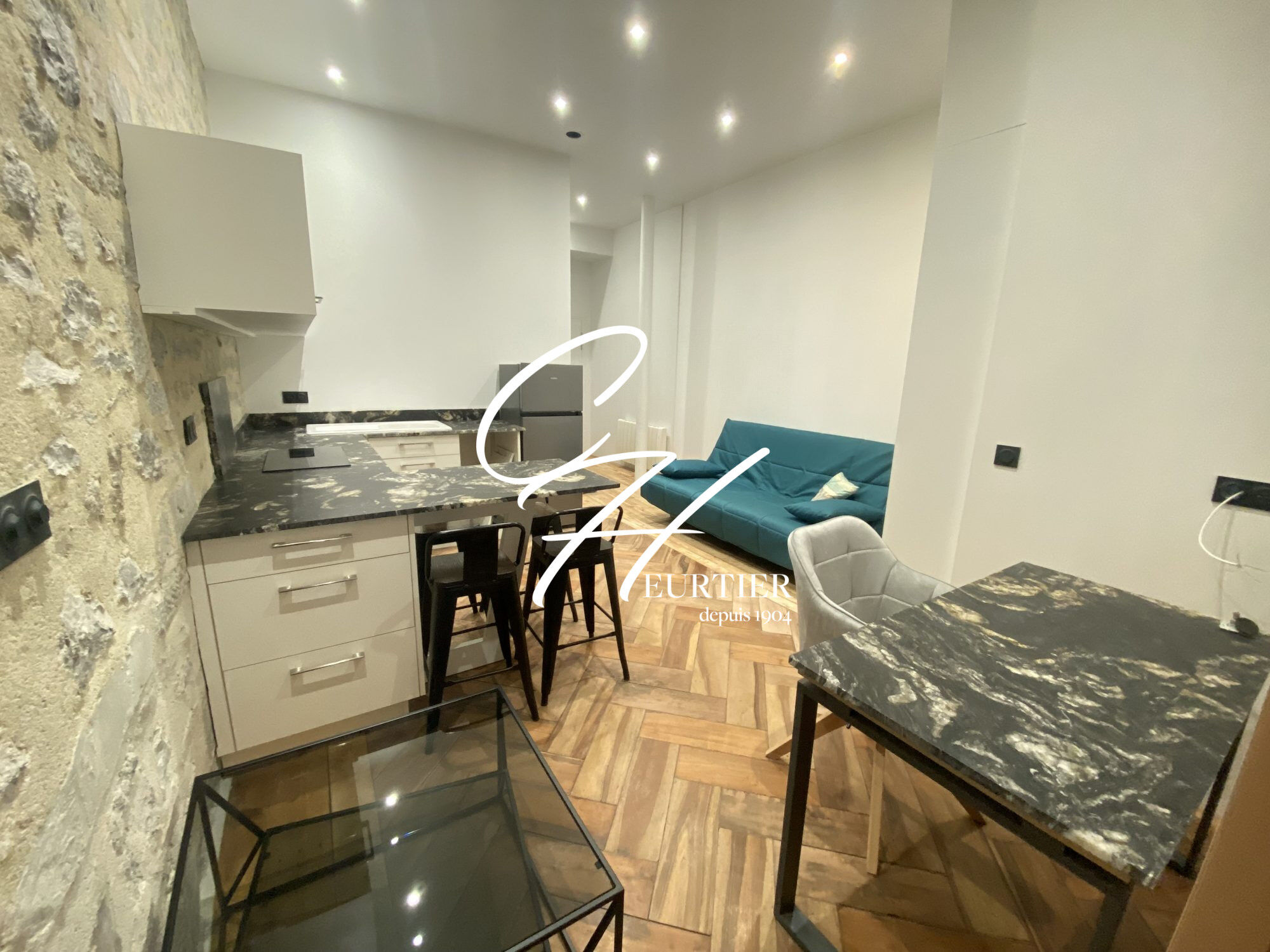 Appartement  T1 à louer Grenoble 38000