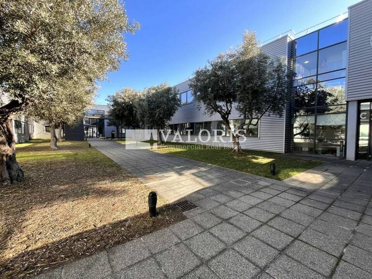 BUREAUX à LOUER — photo 1