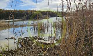 Terrain  72500 m² à vendre à Mézières-en-Brenne (36290)