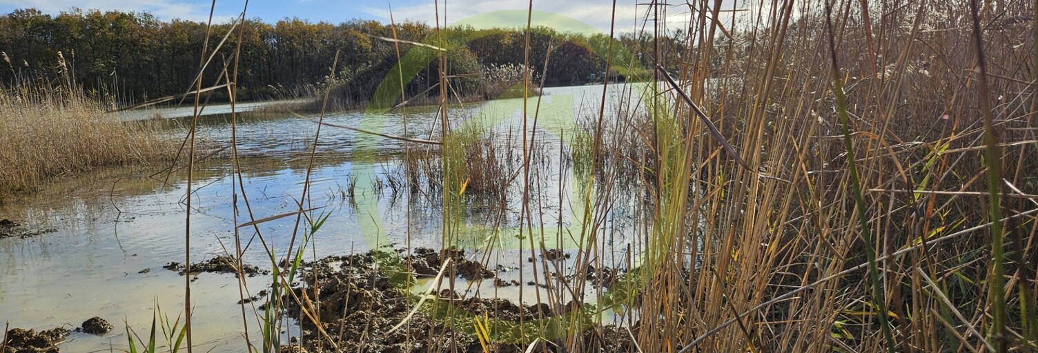 Terrain  72500 m² à vendre à Mézières-en-Brenne (36290)