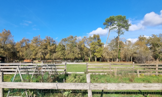 Maison 6 Pièces 173 m² à vendre à Salles (33770)