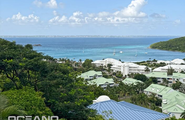 GRAND STUDIO VUE MER ET MARINA ANSE MARCEL — photo 3