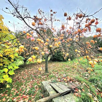 Maison 8 pièces 1100000 €