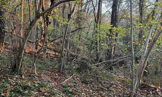 Terrain  1970 m² à vendre à Les Bordes (45460)