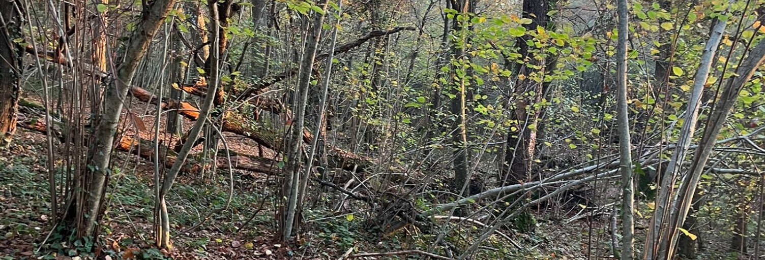 Terrain  1970 m² à vendre à Les Bordes (45460)