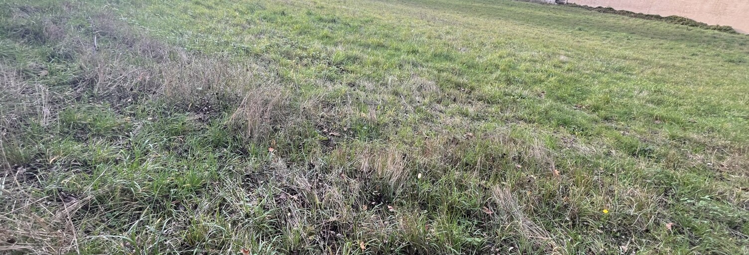 Terrain  3225 m² à vendre à Saint-Jean-du-Bruel (12230)