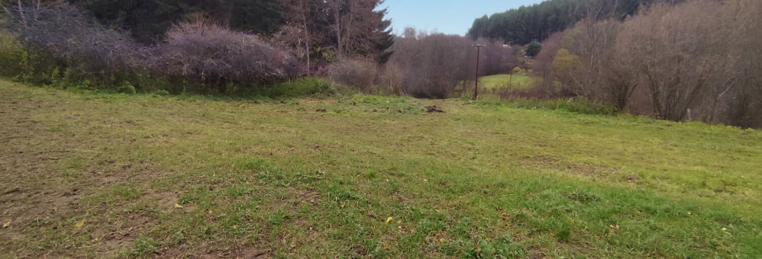 Terrain  1068 m² à vendre à Estivareilles (42380)