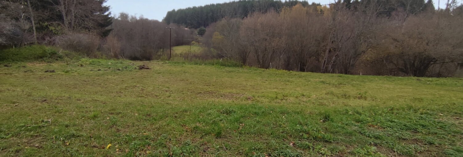 Terrain  1068 m² à vendre à Estivareilles (42380)